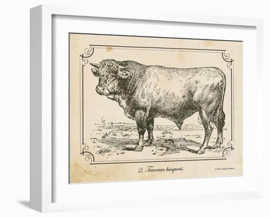 Farm Bull II-Gwendolyn Babbitt-Framed Art Print