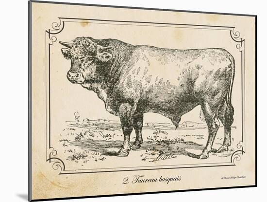 Farm Bull II-Gwendolyn Babbitt-Mounted Art Print