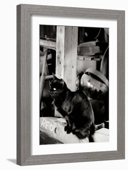 Farm Cat-Erin Berzel-Framed Photographic Print