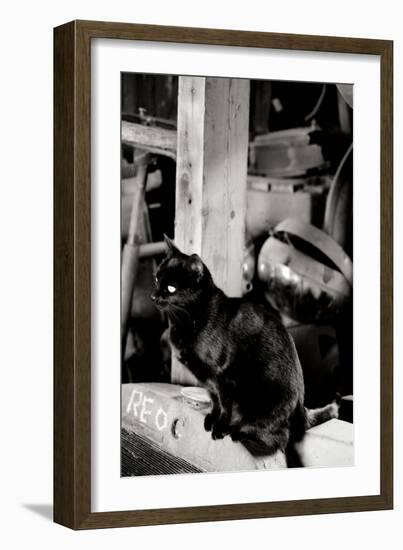 Farm Cat-Erin Berzel-Framed Photographic Print