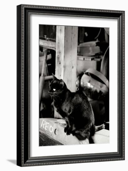 Farm Cat-Erin Berzel-Framed Photographic Print