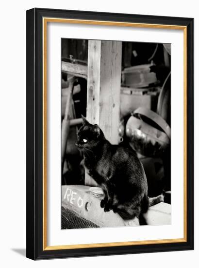 Farm Cat-Erin Berzel-Framed Photographic Print