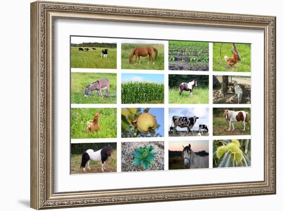 Farm Collage-miff32-Framed Art Print