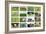 Farm Collage-miff32-Framed Art Print