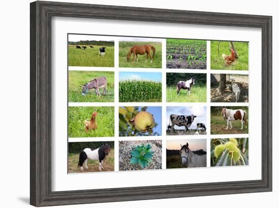 Farm Collage-miff32-Framed Art Print