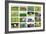 Farm Collage-miff32-Framed Art Print