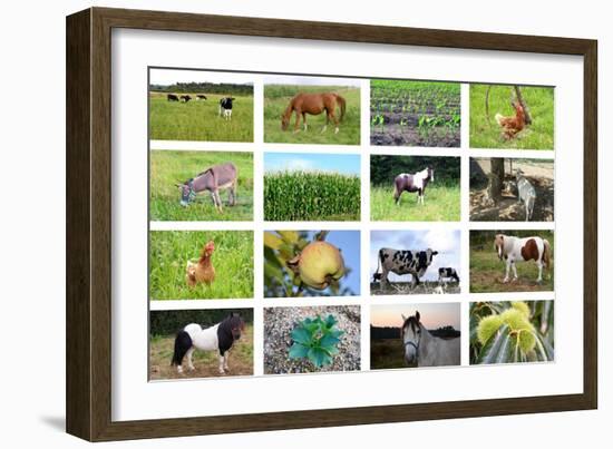 Farm Collage-miff32-Framed Art Print