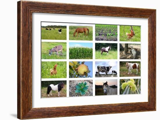 Farm Collage-miff32-Framed Art Print