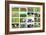 Farm Collage-miff32-Framed Art Print