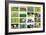 Farm Collage-miff32-Framed Art Print