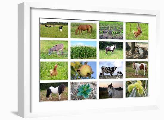 Farm Collage-miff32-Framed Art Print