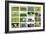 Farm Collage-miff32-Framed Art Print