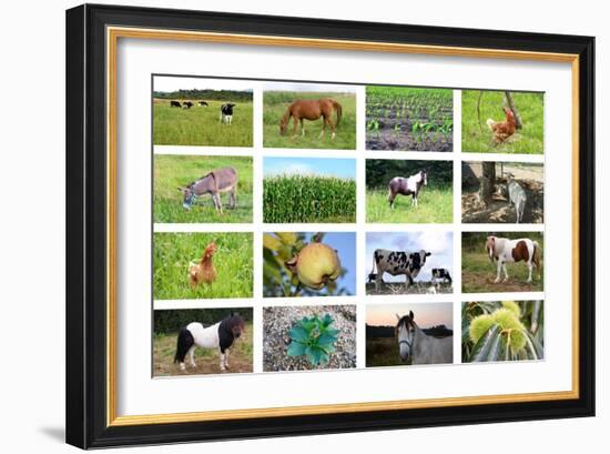 Farm Collage-miff32-Framed Art Print