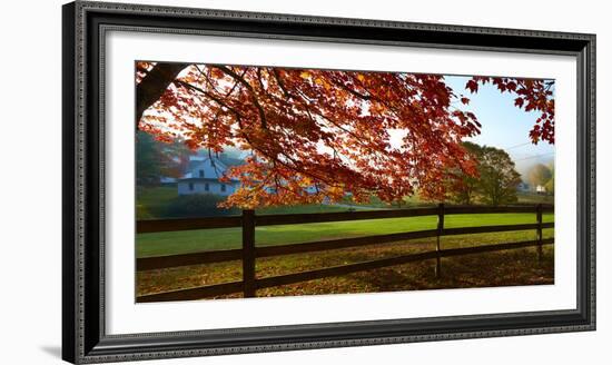 Farm & Country IX-James McLoughlin-Framed Photographic Print