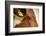 Farm, Cow, Eye, Ear Mark, Close-Up-Catharina Lux-Framed Photographic Print