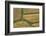 Farm Crops, Rukuhia, Near Hamilton, Waikato, North Island, New Zealand, Aerial-David Wall-Framed Photographic Print