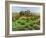 Farm Cumbria, 2008-Trevor Neal-Framed Giclee Print