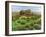 Farm Cumbria, 2008-Trevor Neal-Framed Giclee Print