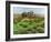 Farm Cumbria, 2008-Trevor Neal-Framed Giclee Print