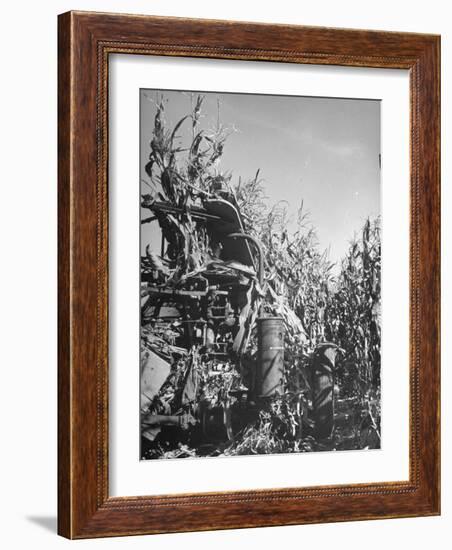 Farm Equipment Harvesting Corn on a Farm-null-Framed Photographic Print