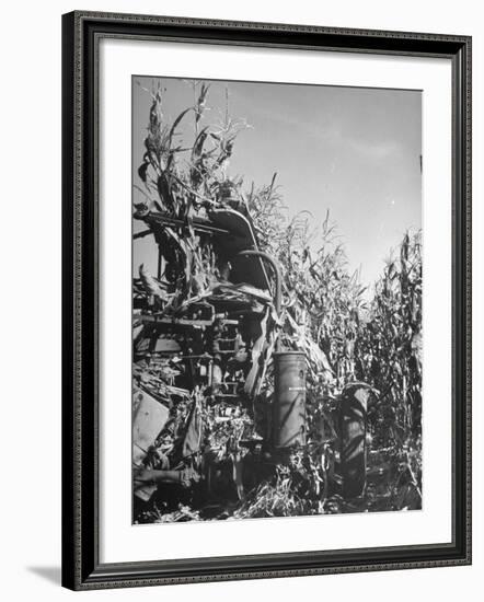Farm Equipment Harvesting Corn on a Farm-null-Framed Photographic Print