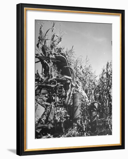 Farm Equipment Harvesting Corn on a Farm-null-Framed Photographic Print