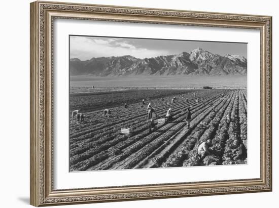 Farm, Farm Workers, Mt. Williamson in Background-Ansel Adams-Framed Art Print