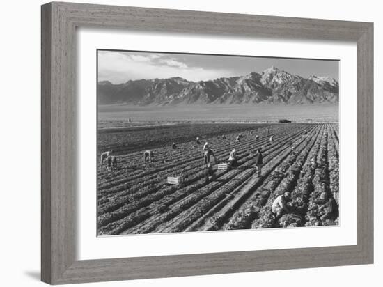 Farm, Farm Workers, Mt. Williamson in Background-Ansel Adams-Framed Art Print