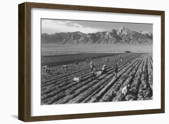 Farm, Farm Workers, Mt. Williamson in Background-Ansel Adams-Framed Art Print