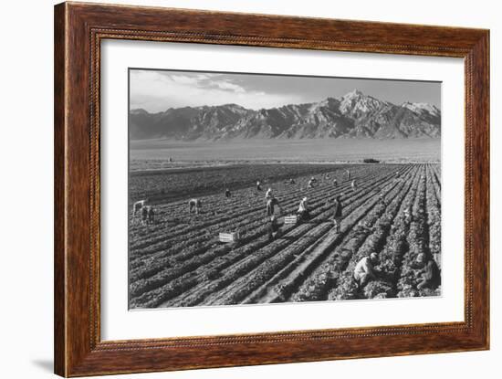 Farm, Farm Workers, Mt. Williamson in Background-Ansel Adams-Framed Art Print