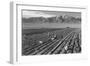 Farm, Farm Workers, Mt. Williamson in Background-Ansel Adams-Framed Art Print