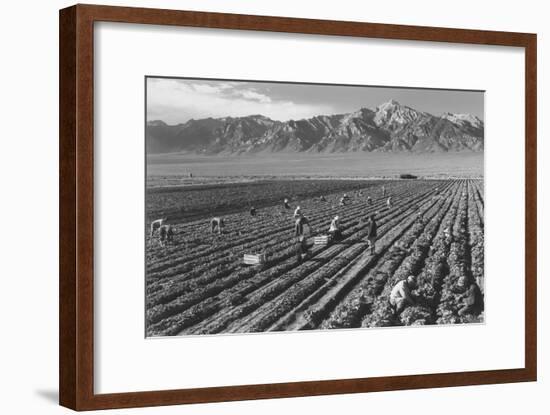 Farm, Farm Workers, Mt. Williamson in Background-Ansel Adams-Framed Art Print