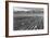 Farm, Farm Workers, Mt. Williamson in Background-Ansel Adams-Framed Art Print