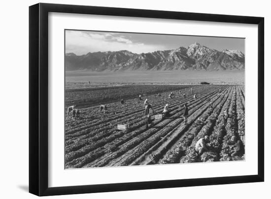 Farm, Farm Workers, Mt. Williamson in Background-Ansel Adams-Framed Premium Giclee Print