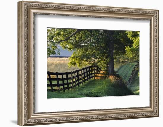 Farm Fence at Sunrise, Oldham County, Kentucky-Adam Jones-Framed Photographic Print