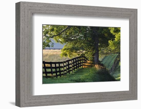 Farm Fence at Sunrise, Oldham County, Kentucky-Adam Jones-Framed Photographic Print