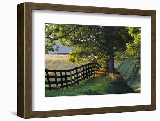 Farm Fence at Sunrise, Oldham County, Kentucky-Adam Jones-Framed Photographic Print