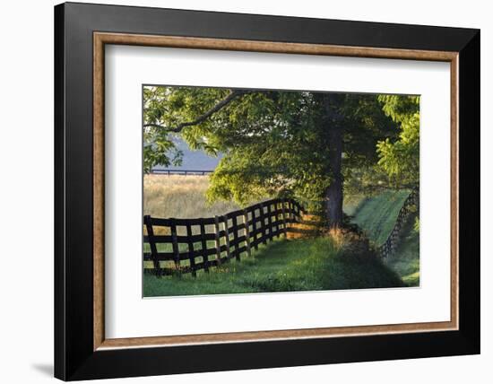 Farm Fence at Sunrise, Oldham County, Kentucky-Adam Jones-Framed Photographic Print