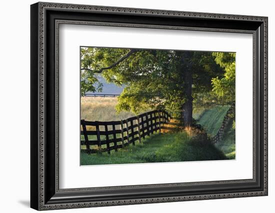 Farm Fence at Sunrise, Oldham County, Kentucky-Adam Jones-Framed Photographic Print