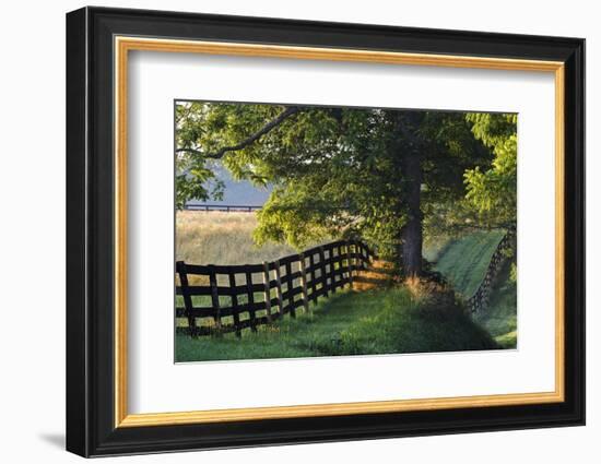 Farm Fence at Sunrise, Oldham County, Kentucky-Adam Jones-Framed Photographic Print