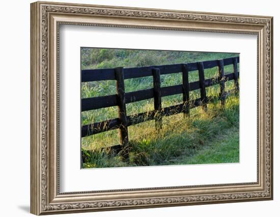 Farm fence at sunrise, Oldham County, Kentucky-Adam Jones-Framed Photographic Print