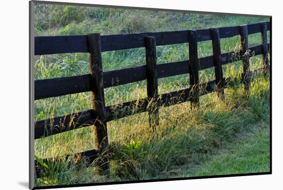 Farm fence at sunrise, Oldham County, Kentucky-Adam Jones-Mounted Photographic Print