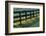 Farm fence at sunrise, Oldham County, Kentucky-Adam Jones-Framed Photographic Print