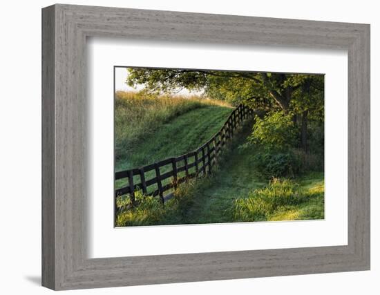 Farm fence at sunrise, Oldham County, Kentucky-Adam Jones-Framed Photographic Print