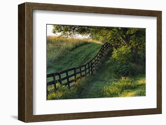 Farm fence at sunrise, Oldham County, Kentucky-Adam Jones-Framed Photographic Print