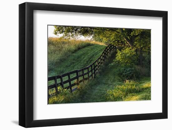 Farm fence at sunrise, Oldham County, Kentucky-Adam Jones-Framed Photographic Print