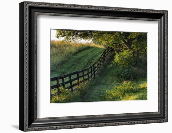 Farm fence at sunrise, Oldham County, Kentucky-Adam Jones-Framed Photographic Print