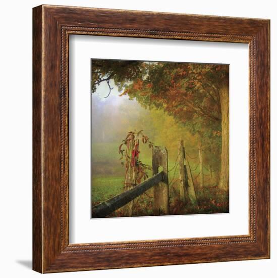 Farm Fence-Dawne Polis-Framed Art Print