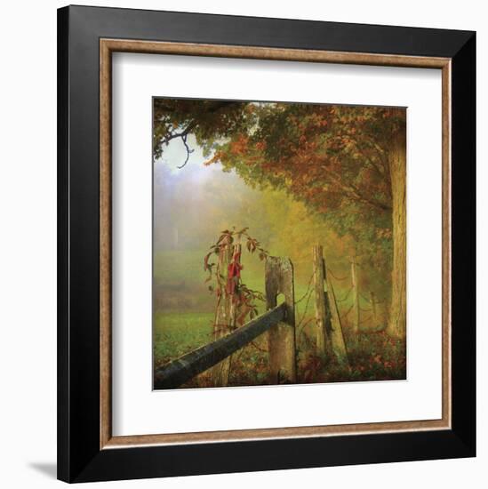 Farm Fence-Dawne Polis-Framed Art Print