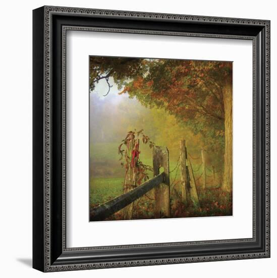 Farm Fence-Dawne Polis-Framed Art Print